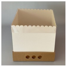 Caja Drip 25 x 25 x 25 Cm