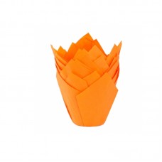 Tulipa Naranja x50 Unidades Moldpack