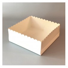 Caja Box con Visor 22 x 22 x 9Cm
